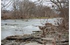 Property photo 1 - ABSOLUTE AUCTION - 298 Acres Offered in 4 Tracts